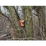 Zdjęcia użytkowników Xiaomi 15