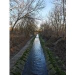 Zdjęcia użytkowników Xiaomi 15