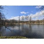 Zdjęcia użytkowników Xiaomi 15