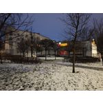 Zdjęcia użytkowników Xiaomi 15