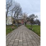 Zdjęcia użytkowników Xiaomi 15