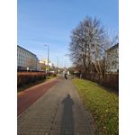 Zdjęcia użytkowników Xiaomi 15