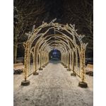 Zdjęcia użytkowników Xiaomi 15