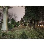 ZDJĘCIA Z TEGO TELEFONU