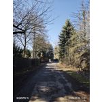 ZDJĘCIA Z TEGO TELEFONU