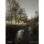 Zdjęcia użytkowników Xiaomi 15