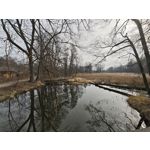 Zdjęcia użytkowników Xiaomi 15