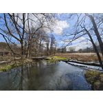 Zdjęcia użytkowników Xiaomi 15