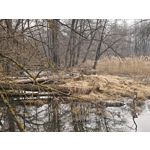 ZDJĘCIA Z TEGO TELEFONU