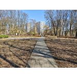 ZDJĘCIA Z TEGO TELEFONU