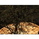 Zdjęcia użytkowników Xiaomi 15