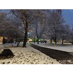 Zdjęcia użytkowników Xiaomi 15