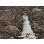 Zdjęcia użytkowników Xiaomi 15