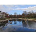 Zdjęcia użytkowników Xiaomi 15