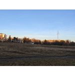 ZDJĘCIA Z TEGO TELEFONU