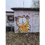 Zdjęcia użytkowników Xiaomi 15