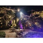 Zdjęcia użytkowników Xiaomi 15