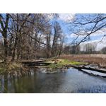 Zdjęcia użytkowników Xiaomi 15