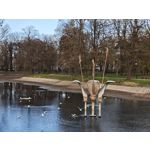 Zdjęcia użytkowników Xiaomi 15