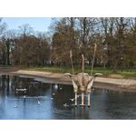 Zdjęcia użytkowników Xiaomi 15