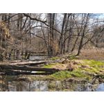 Zdjęcia użytkowników Xiaomi 15