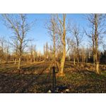 ZDJĘCIA Z TEGO TELEFONU