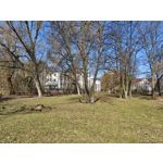 Zdjęcia użytkowników Xiaomi 15