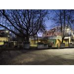 Zdjęcia użytkowników Xiaomi 15