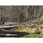 Zdjęcia użytkowników Xiaomi 15