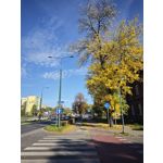 ZDJĘCIA Z TEGO TELEFONU