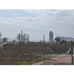 Zdjęcia użytkowników Xiaomi 15