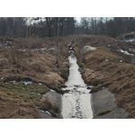 Zdjęcia użytkowników Xiaomi 15