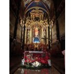 Zdjęcia użytkowników Xiaomi 15