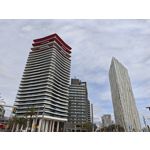 Zdjęcia użytkowników Xiaomi 15