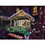 Zdjęcia użytkowników Xiaomi 15