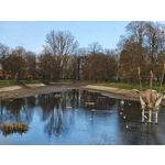 Zdjęcia użytkowników Xiaomi 15