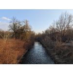 ZDJĘCIA Z TEGO TELEFONU