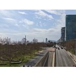 Zdjęcia użytkowników Xiaomi 15