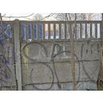 Zdjęcia użytkowników Xiaomi 15