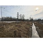 Zdjęcia użytkowników Xiaomi 15