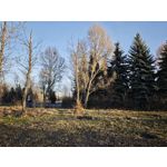 Zdjęcia użytkowników Xiaomi 15