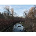 Zdjęcia użytkowników Xiaomi 15