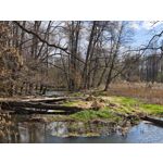 Zdjęcia użytkowników Xiaomi 15