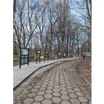 ZDJĘCIA Z TEGO TELEFONU