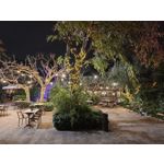 Zdjęcia użytkowników Xiaomi 15