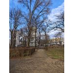 Zdjęcia użytkowników Xiaomi 15