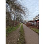 ZDJĘCIA Z TEGO TELEFONU