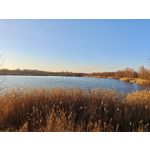 ZDJĘCIA Z TEGO TELEFONU