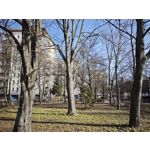 Zdjęcia użytkowników Xiaomi 15