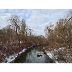 Zdjęcia użytkowników Xiaomi 15